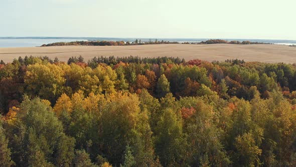 An Autumn Landscape of Fields and Forest