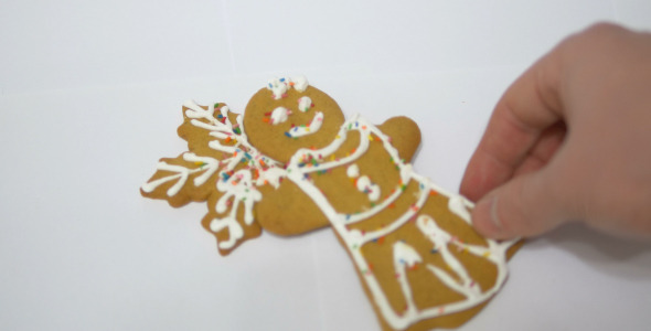 Gingerbread and Cookies 1