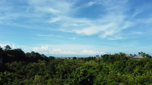 Drone backward flight over the trees between rocks