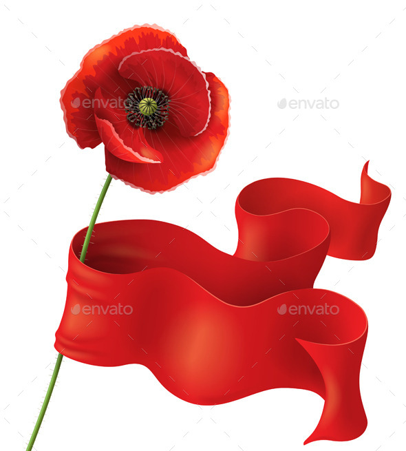 Red  Poppy Flower