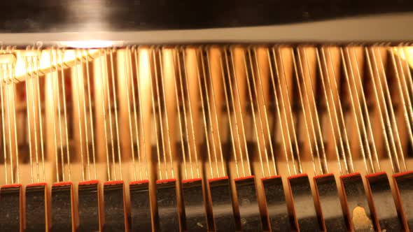 Detail Of Piano Hammers And Strings