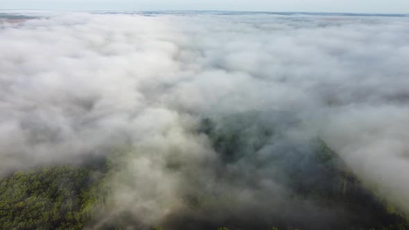 Thick Autumn Morning Fog Over the Green Forest