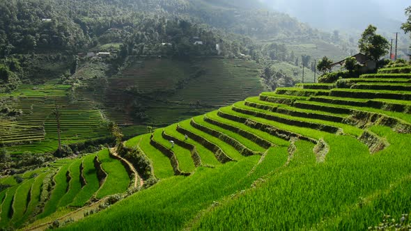 Scenic Rice Farm Terraces - Northern Mountains Of Sapa Vietnam 5