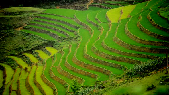 Scenic Rice Farm Terraces - Northern Mountains Of Sapa Vietnam 6