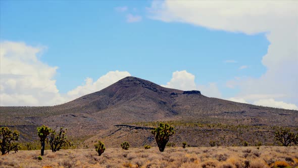 Mojave National Preserve Daytime 1