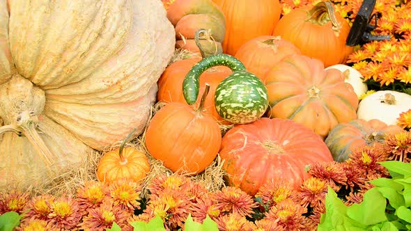 Cornucopia Of Fall Holiday Items 5