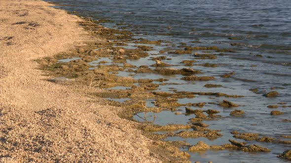 The Salton Sea California