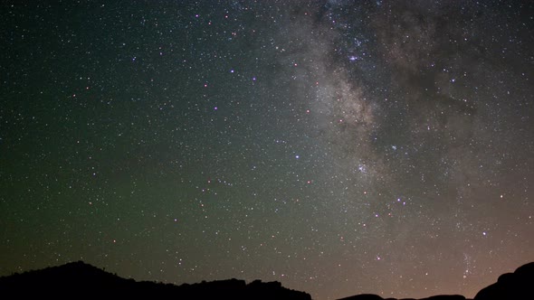 Night Sky In Joshua Tree