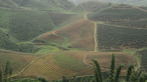 Scenic Rice Terraces In The Northern Mountains Of Sapa Vietnam