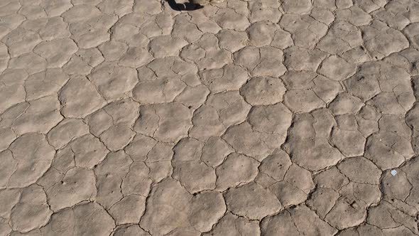 Skull On The Desert Floor - Death Valley 3