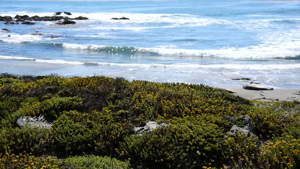 Big Sur California Coastline - Pacific Ocean 3