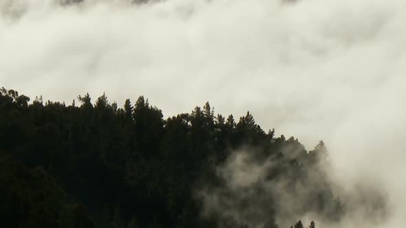 Clouds, Mountains And Trees - Clip 2