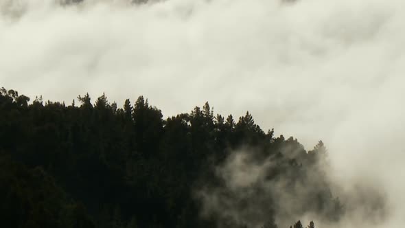 Clouds, Mountains And Trees - Clip 2 alt