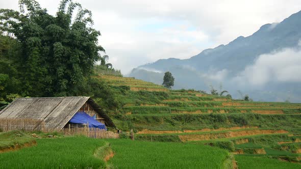 Farm House Surrounded By Rice Terraces In Valley -  Sapa Vietnam 2