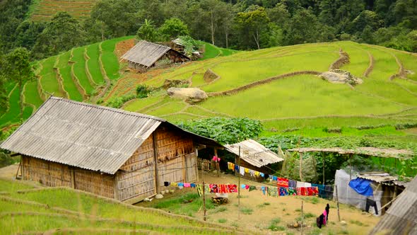 Farm House Surrounded By Rice Terraces In Valley -  Sapa Vietnam 4