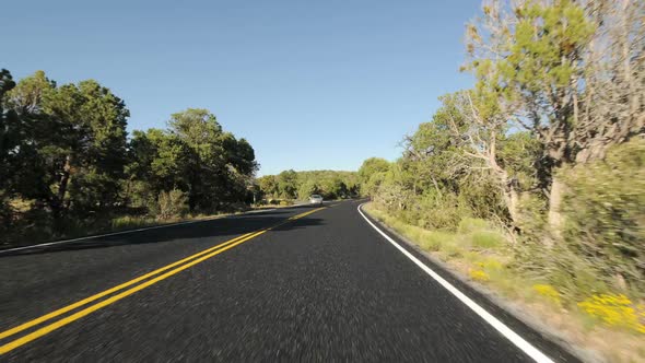 Scenic Driving 2