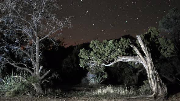 Stars In The Mojave Desert