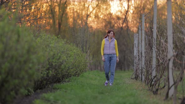 Mature Woman Walking Near Grape Bushes