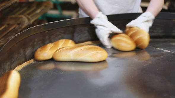 Production of Bread