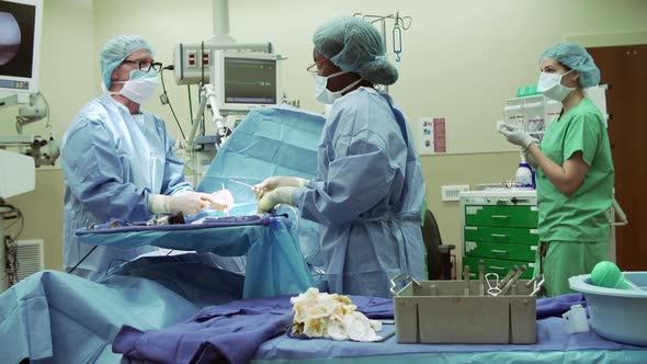 Surgical Team Working In Operating Theatre 4