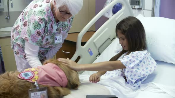 Young Girl Being Visited In Hospital By Therapy Dog 1