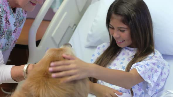 Young Girl Being Visited In Hospital By Therapy Dog 2 alt