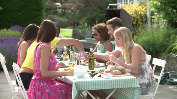 Group Of Friends Having Outdoor Barbeque At Home 5