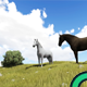 Horse Animation - VideoHive Item for Sale