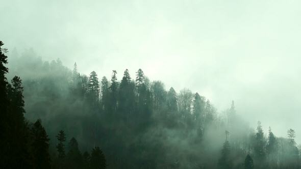 Quick Mist Shrouding the Mountainside