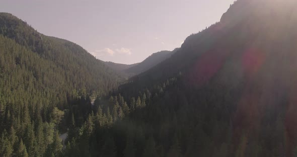 Aerial low fly-over trees in canyon while panning up to reveal tall mountains and sun rays.