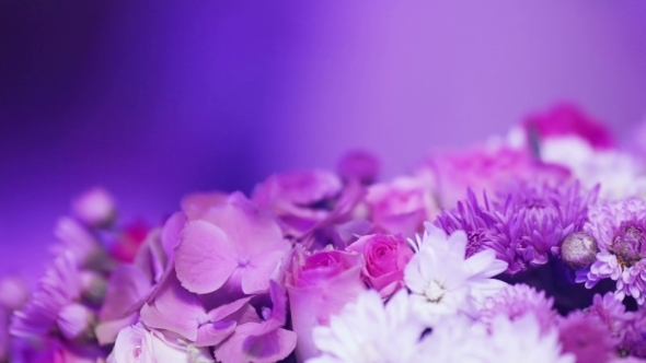 Flower Decoration Bokeh People alt