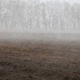Morning Fog on the Ground 01 - VideoHive Item for Sale