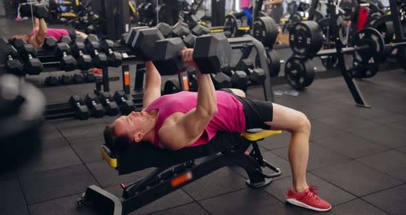 Bodybuilder Training With Dumbbells At A Gym
