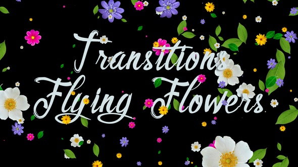 Transitions Flying Flowers 4K alt