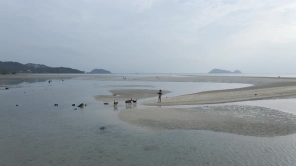 Woman With Her Dogs Walking At The Beach At Low Tide In Koh Pha Ngan