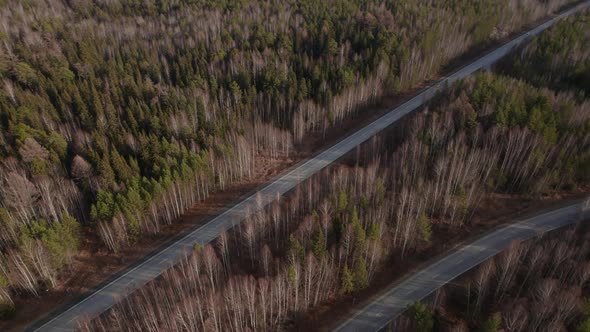 Curve of highway road between deep forest