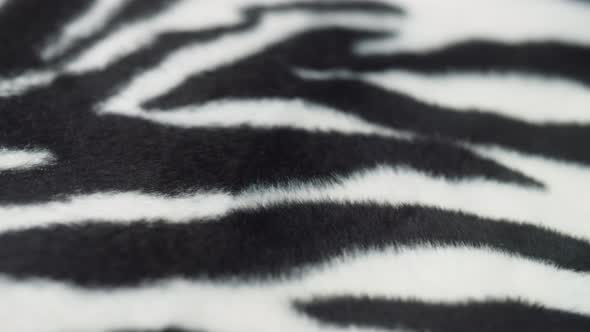 Zebra Cloth Texture Closeup