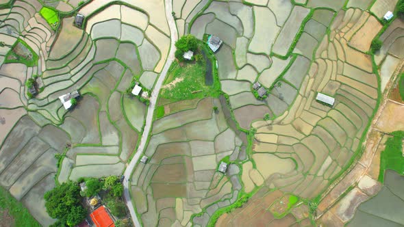 An aerial view over the beautiful rice terraces