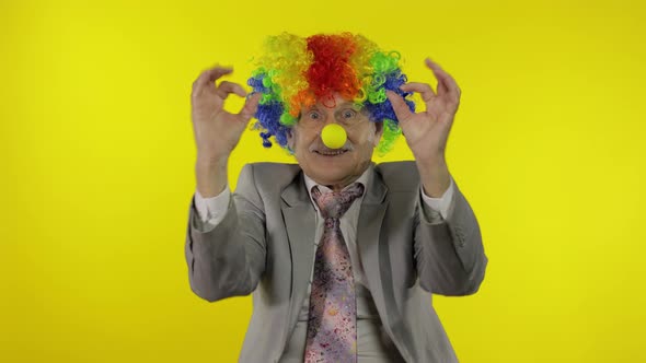 Senior Elderly Clown Businessman Entrepreneur Boss in Wig Show Ok Sign
