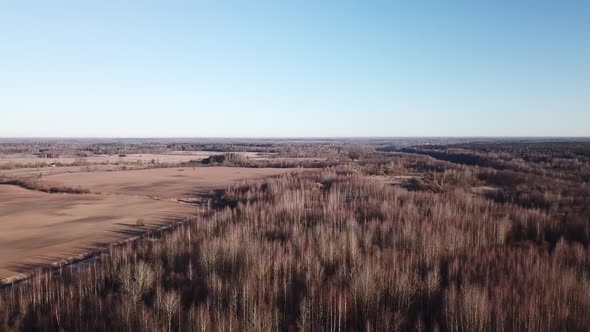 White Lake Spring Landscape 40