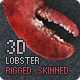 Ocean Lobster - 3DOcean Item for Sale