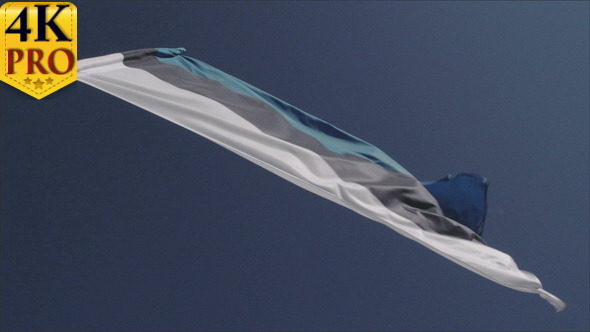 An Estonian Flag Waving so Fast on the Breeze