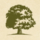 Maple Tree Sustainable Development Logo - GraphicRiver Item for Sale
