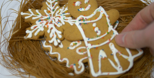 Gingerbread and Cookies 2