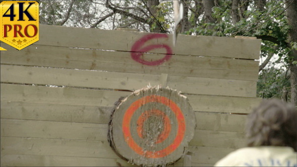 A Man Throwing an Axe on the Sixth Spot of the Log alt