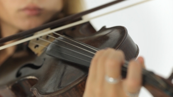 Beautiful Girl Playing The Violin