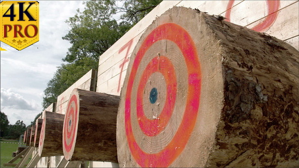A Big Log With Circles on it on an Axe Competition