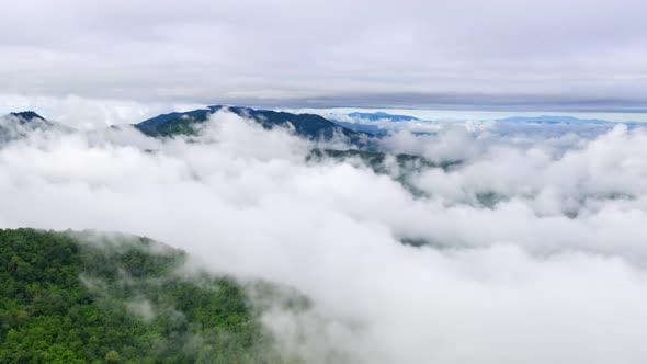 Aerial view Beautiful of morning scenery Golden light sunrise And the fog.