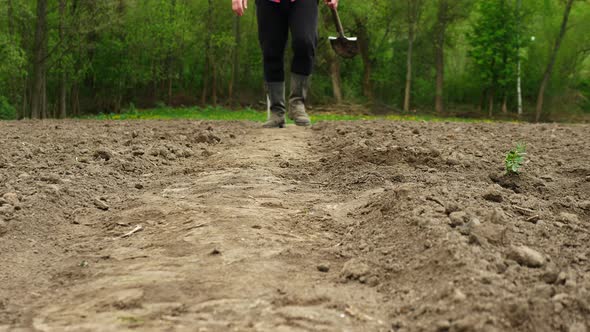 Farmer In Black Boots And With A Shovel In His Hand Walks Along The Black Earth. Parts Of A Farmer's