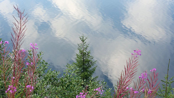 Clouds Reflections in Lake Water 